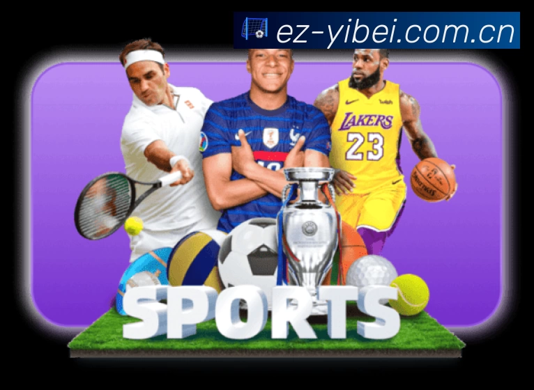 安全使用与支持流程